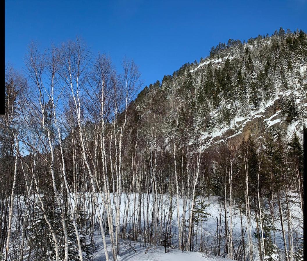 Condo Mont-Edouard LʼAnse-Saint-Jean Екстериор снимка